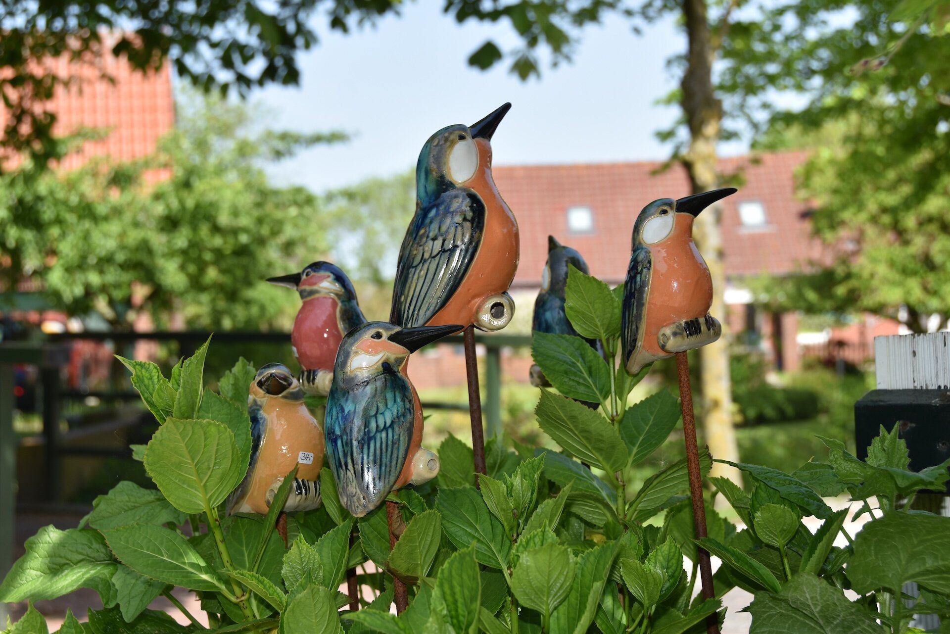 Vogelwelten 