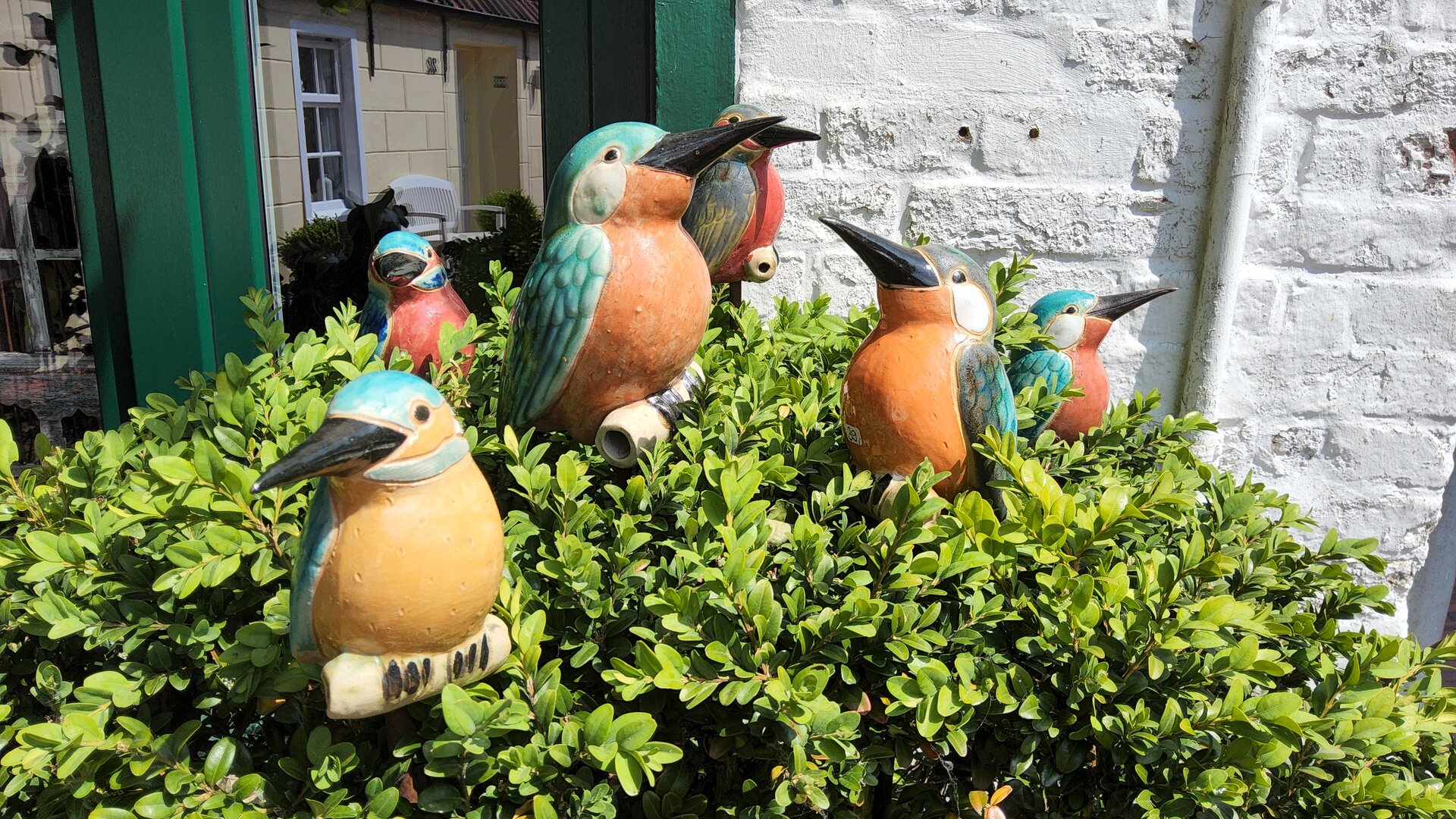 Vogelwelten 