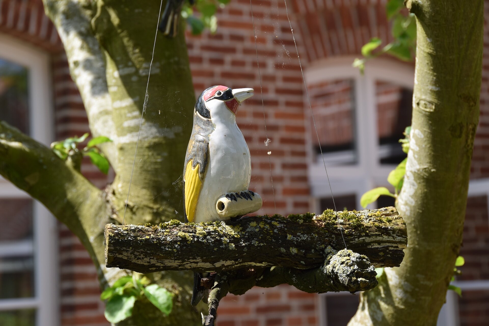 Vogelwelten 